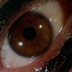 Image for article titled Our week of giallo continues with Dario Argento’s seductively menacing Deep Red